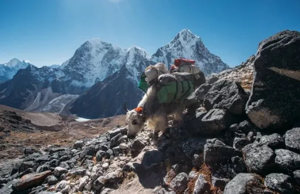 Lobuche Peak Climbing In January