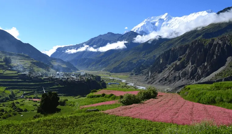 Manaslu Tsum Valley Trek 16 Days